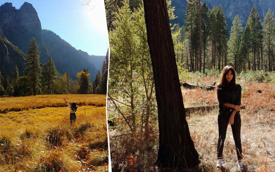 Te Court Tour x Travis Knight | Photo of Camila Pereira