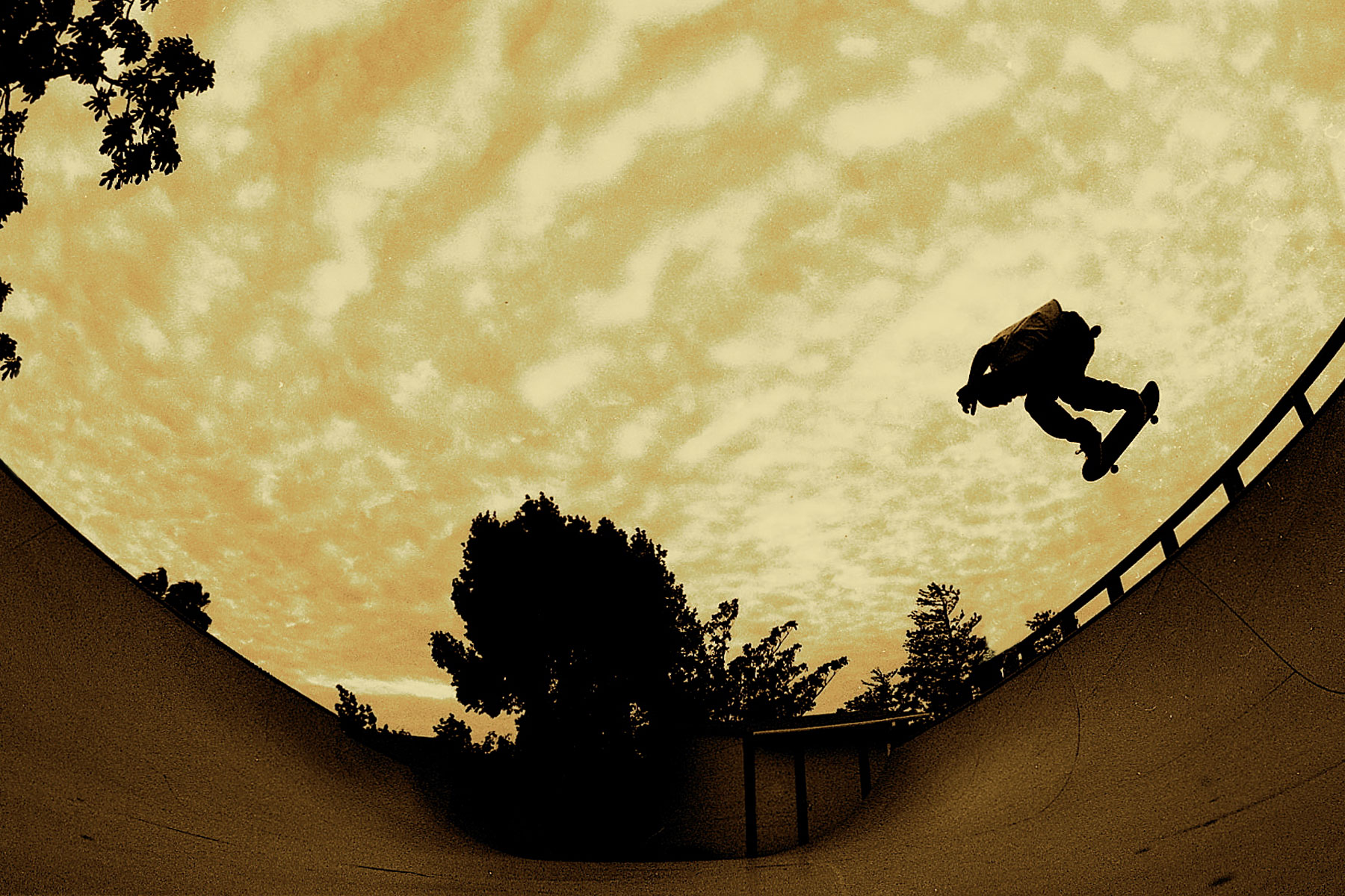 jesse erickson